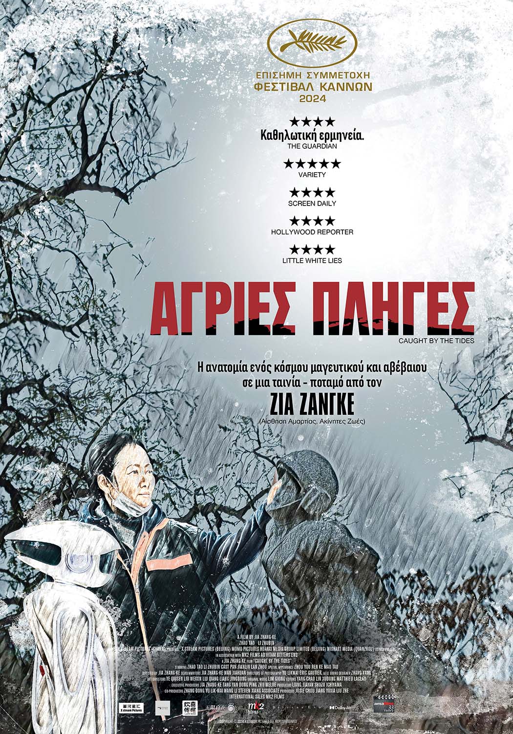 Αφίσα για ΑΓΡΙΕΣ ΠΛΗΓΕΣ