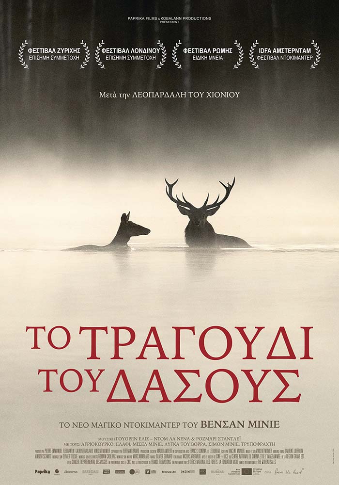 ΤΡΑΓΟΥΔΙ ΤΟΥ ΔΑΣΟΥΣ, ΤΟ